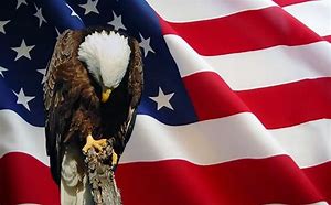 eagle and flag